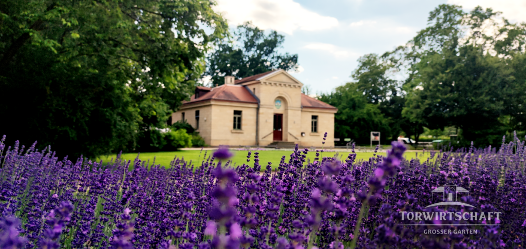 Torwirtschaft Dresden Restaurant und Biergarten im Großen Garten
